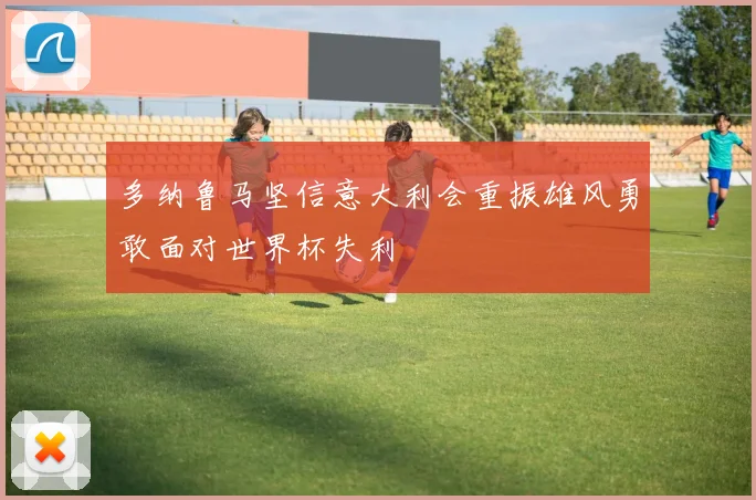 多纳鲁马坚信意大利会重振雄风勇敢面对世界杯失利
