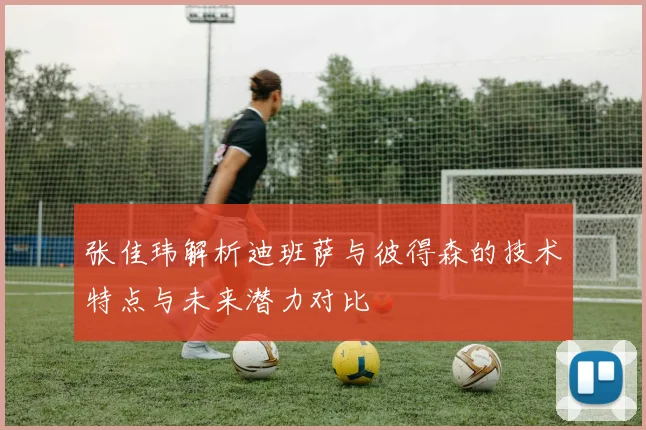 张佳玮解析迪班萨与彼得森的技术特点与未来潜力对比